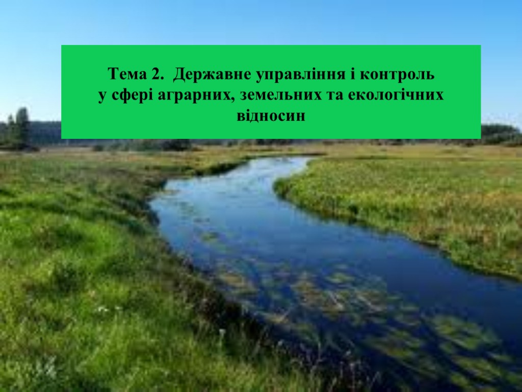 Тема 2. Державне управління і контроль у сфері аграрних, земельних та екологічних відносин